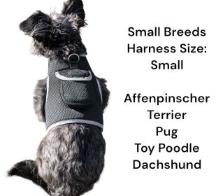 Mini Realtime GSM GPS Tracking Collar Rechargeable Mobile Pet Tracker Size:XL