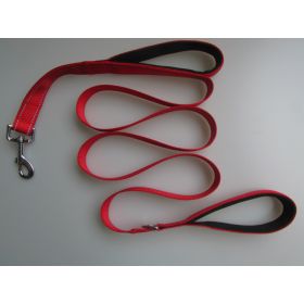 Pet Double Handle Pull Leash (Option: Red)